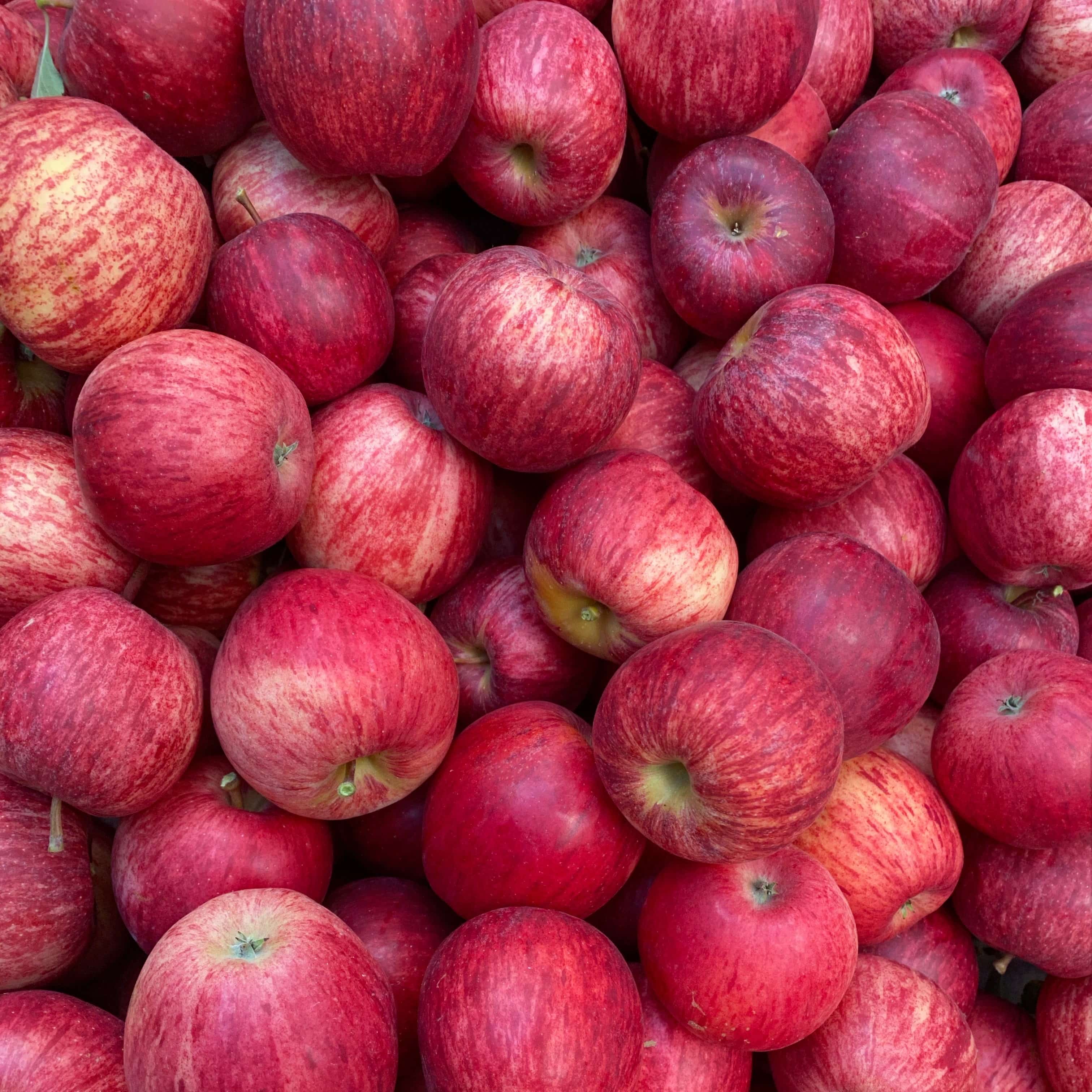 Fresh apples from our selected imports