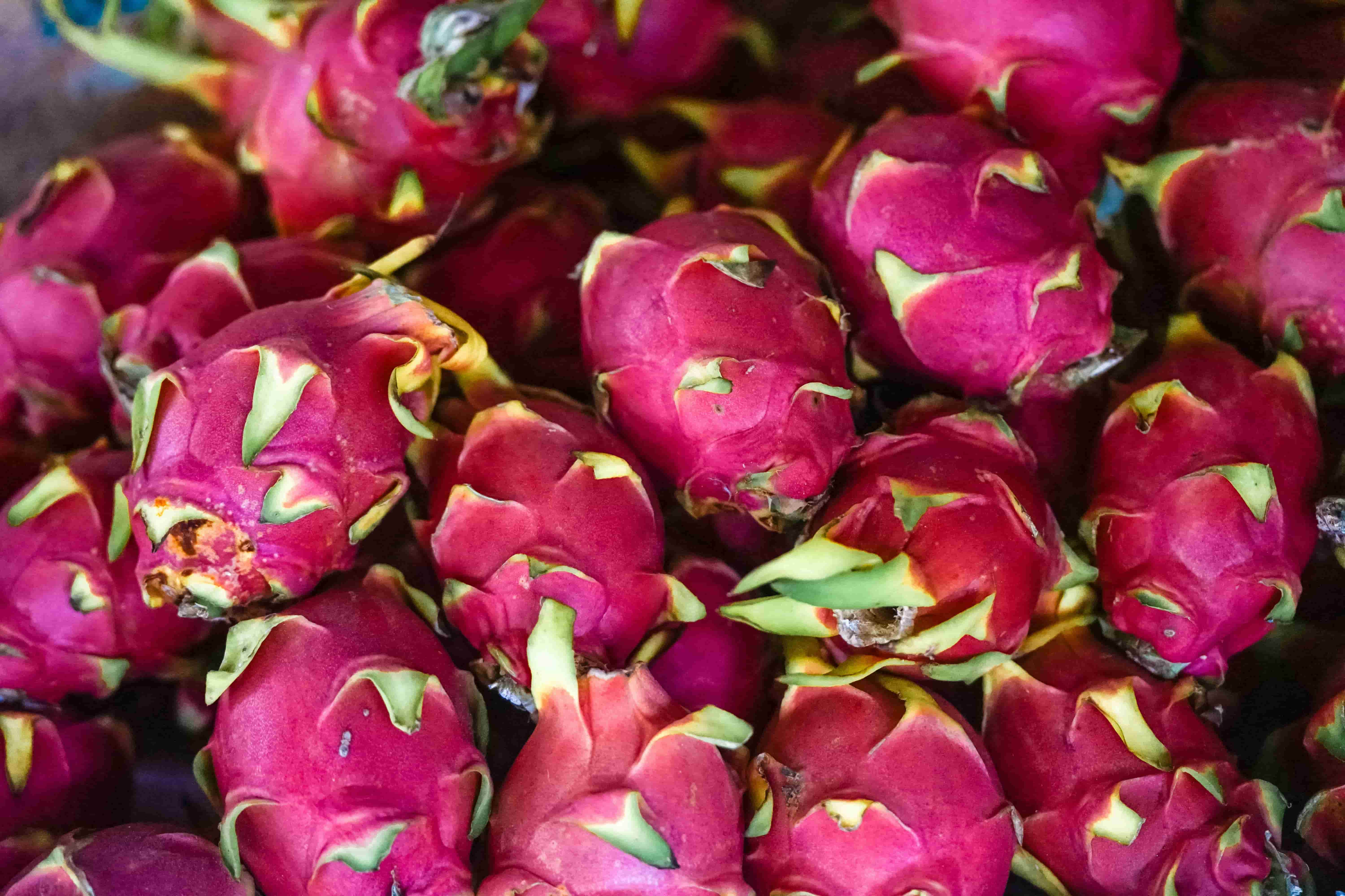 Packed dragon fruit crates ready for export