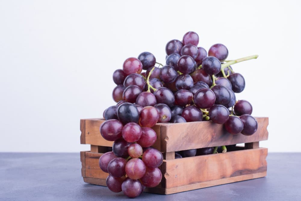 Seedless black grapes from Chile