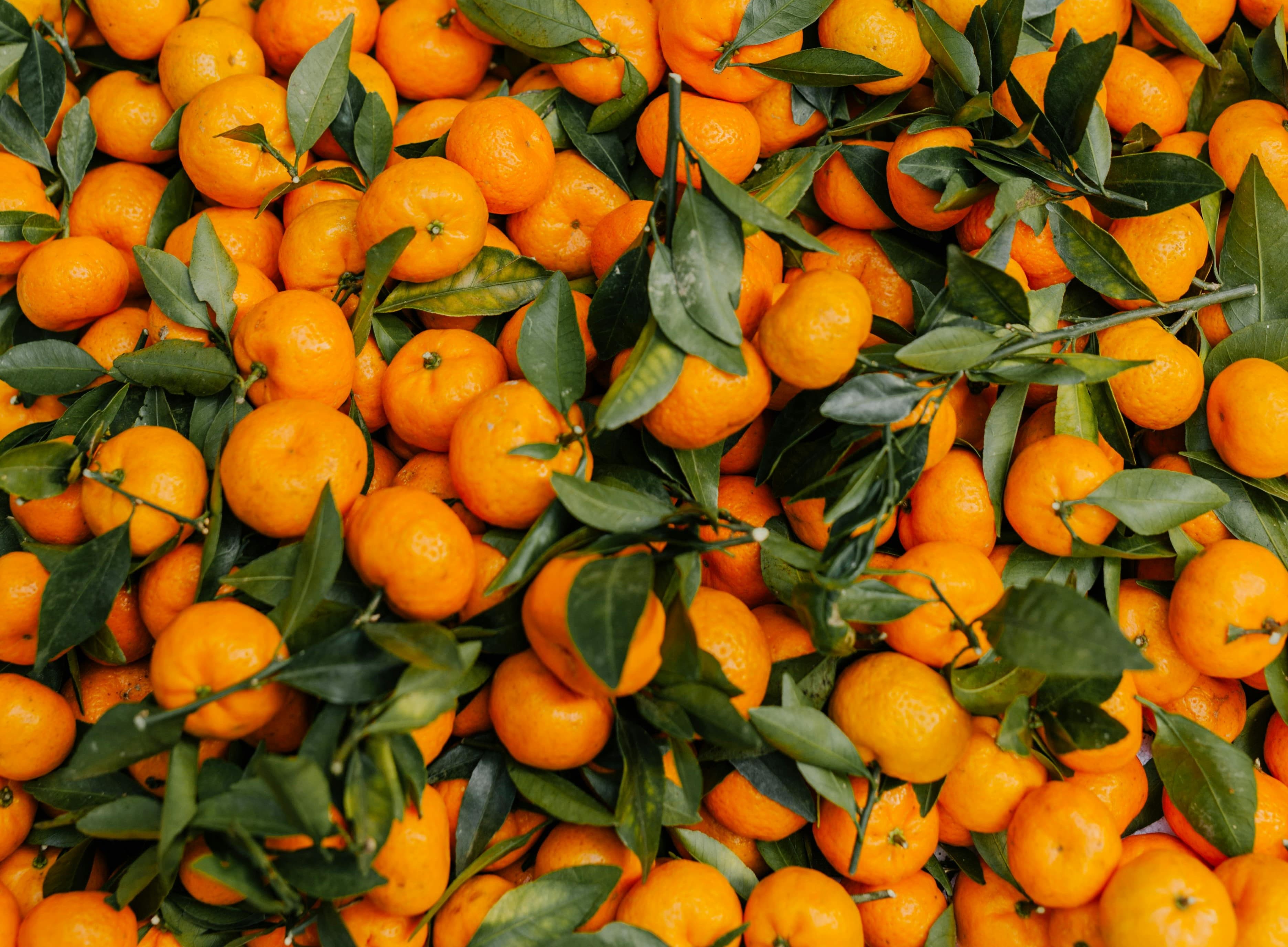 Juicy oranges imported fresh
