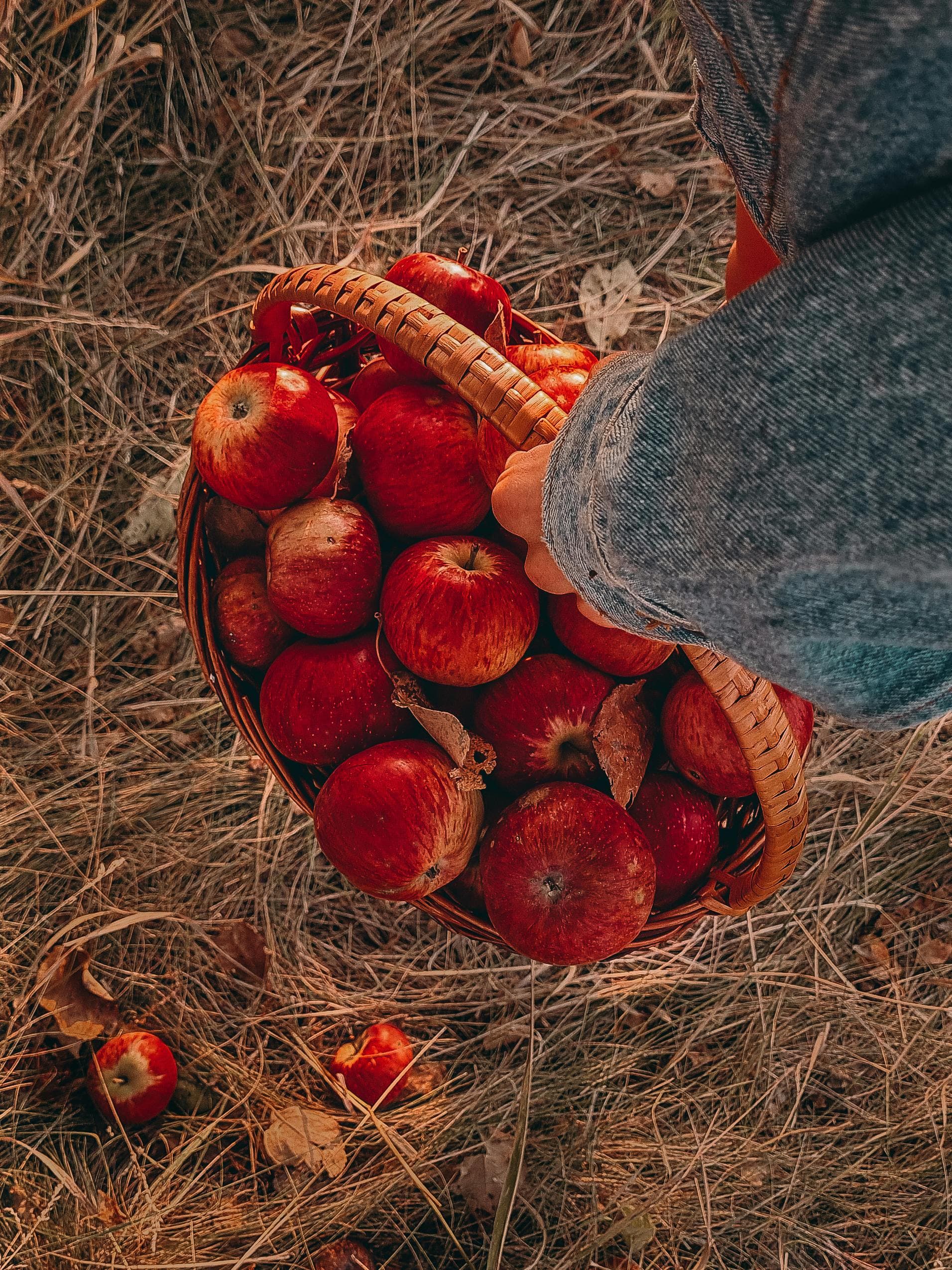 Top 10 Fruit Importing Countries: Market Analysis and Opportunities