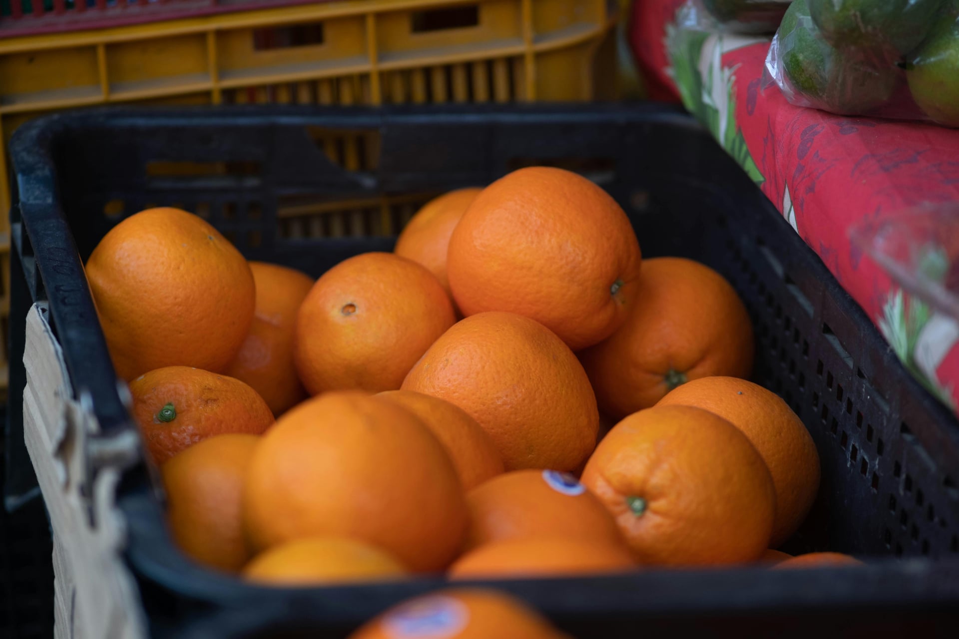 Premium Oranges